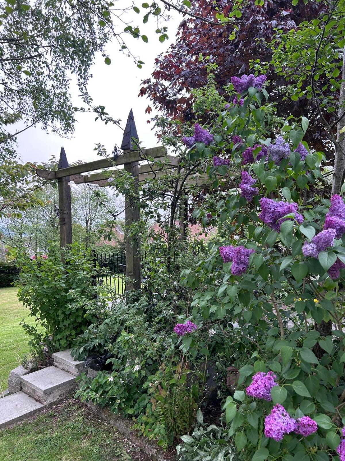 The Loft At Rowantree Cottage Dromara Esterno foto